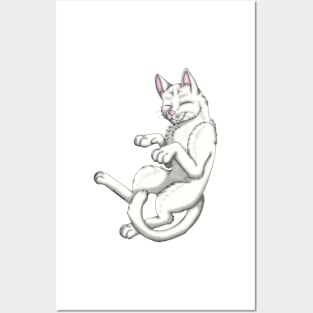 White Shorthair Posters and Art